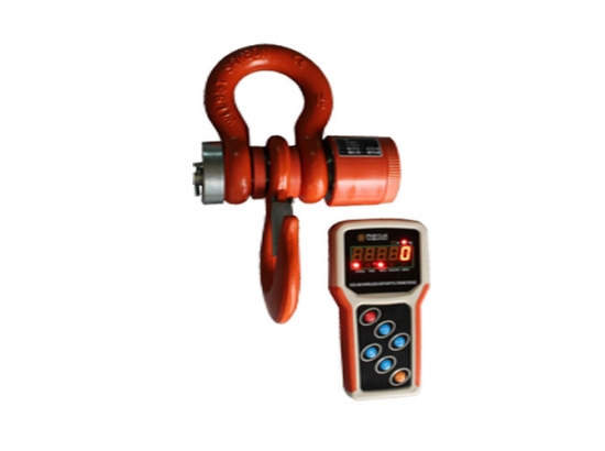 Cân treo Wireless OCS-W